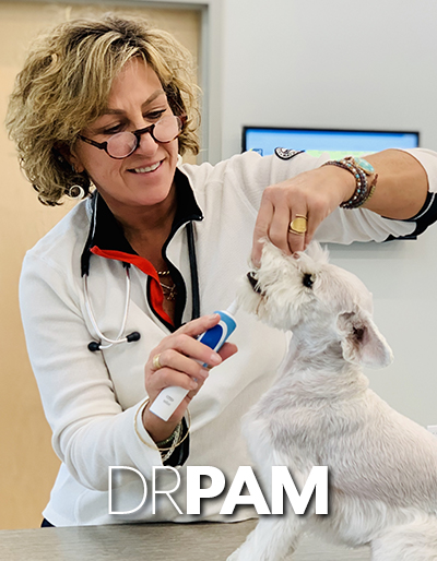 Dr.Pam Dr.Pam