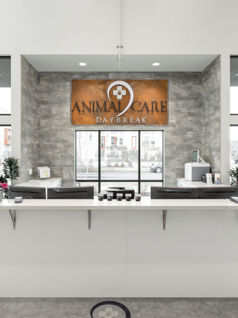 animal-care-daybreak-tour-28