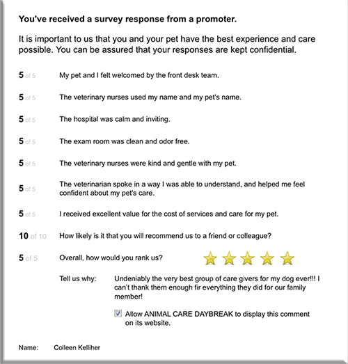 survey-promoter